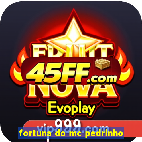 fortuna do mc pedrinho